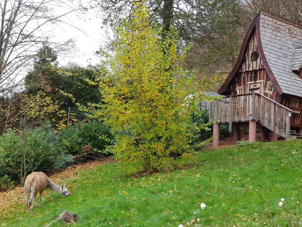 Hexenhaeuschen Am Waldrand Annweiler am Trifels Exterior foto